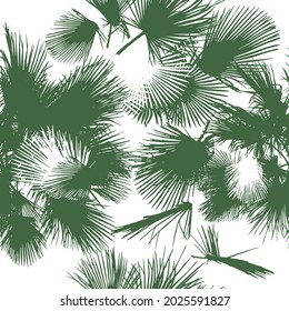 Hojas de palma de fondo sin mar. ilustración vectorial