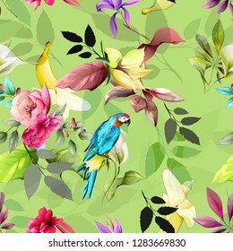 Seamless background pattern with abstract flowers, spathiphyllum, leaves and banana, parrot on green. Hand drawn illustration. vector - stock.