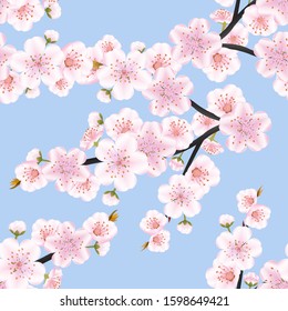 Seamless background pattern of branches  pink Japanese cherry flower on blue background in a random arrangement square format. Sakura flowers texture, 
EPS 10 vector