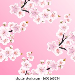 Seamless background pattern of branches  pink Japanese cherry flower on a light pink gradient background, geometric square format. Sakura flowers texture, vector