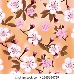 Patrón de fondo de ramas rosa flor de cerezo japonés sobre fondo abstracto marrón claro en un formato cuadrado de arreglo aleatorio. Sakura flores textura transparente, EPS 10 vectorial