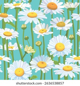 Seamless background pattern Daisies in the field. Realistic daisies. Chamomile flowers medicinal. Daisy flower background

