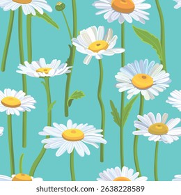 Seamless background pattern Daisies in the field. Realistic daisies. Chamomile flowers medicinal. Daisy flower background
