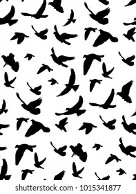 seamless background with a pattern of flying birds on a white background