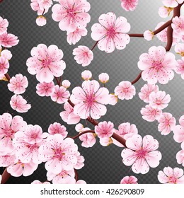 Seamless background pattern of pink Sakura blossom or Japanese flowering cherry symbolic of Spring in a random arrangement square format suitable for textile. EPS 10 vector file included