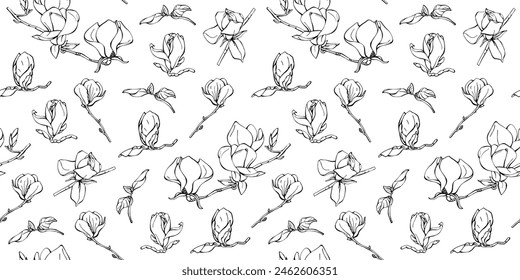 Seamless background with patterns of different magnolia flowers. Magnolia flowers, hand drawing. Floral botany collection. Floral endless background