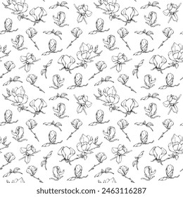 Seamless background with patterns of different magnolia flowers. Magnolia flowers, hand drawing. Floral botany collection. Floral endless background