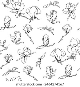 Seamless background with patterns of different magnolia flowers. Magnolia flowers, hand drawing. Floral botany collection. Floral endless background