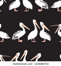 Seamless background of pelicans sketches