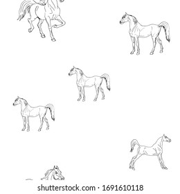 seamless background of pen-drawn horses on a white background, pattern of isolated drawings