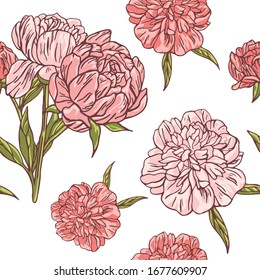 Seamless background of peony flowers. Vector illustration