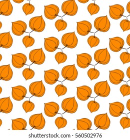 Seamless background physalis flowers. Pattern.