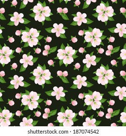 Seamless background with pink apple flowers. Vector illustration.