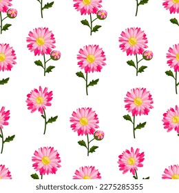 Seamless background with Pink daisy Eps 10 vector. 