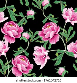 Seamless background with pink peony flowers. Traditional Chinese ink painting illustration. Black background.