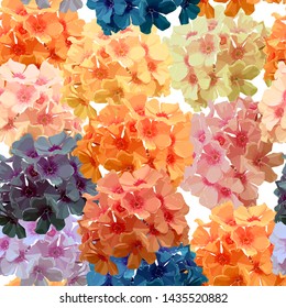Seamless background of pink phlox. Hydrangea. Vector illustration, EPS 10