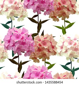 Seamless background of pink phlox. Hydrangea. Vector illustration, EPS 10