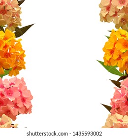 Seamless background of pink phlox. Hydrangea. Vector illustration, EPS 10
