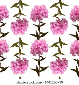 Seamless background of pink phlox. Hydrangea. Vector illustration, EPS 10