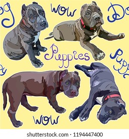 Seamless background with pitbulls. Vector illustration, EPS 10