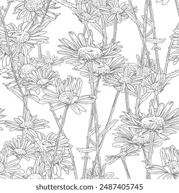 Seamless background with realistic hand-drawn daisies, chamomile