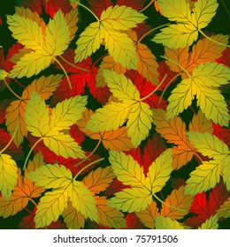 Seamless background red orange and green leaves of a raspberry