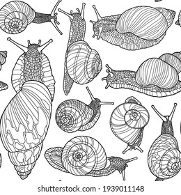 Seamless background. Relistic illustration of snails of different shapes.