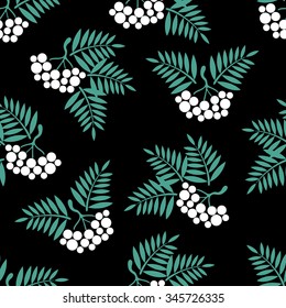 seamless background with Rowan brush on a black background.vector illustration