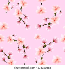 Seamless background with sakura flowers cherry. Vector illustration