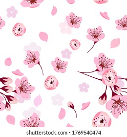 A seamless background of sakura. Vector illustration