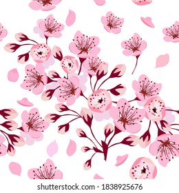 A seamless background of sakura. Vector illustration