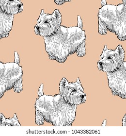 Seamless background of the scottish terriers