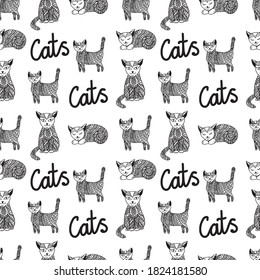 Seamless background. Seals in different poses. Isolated on white. Handwritten lettering. Patterns on the torso of cats. Suitable for textiles, packaging products and interiors.