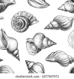 Seamless background of the seashells sketches