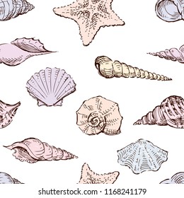 Seamless background of the seashells sketches