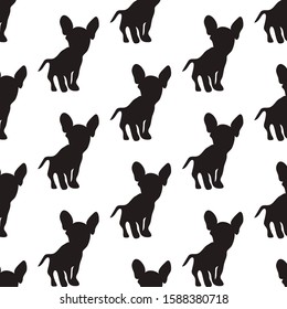 
seamless background shadow french bulldog and chihuahua