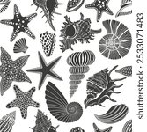 Seamless background with  shells, nautilus,  starfish on white. Stylish black and white background on a marine theme. Vector. Perfect for design templates, wallpaper, wrapping, fabric, print .