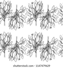 Seamless background with sketch eucalyptus branch