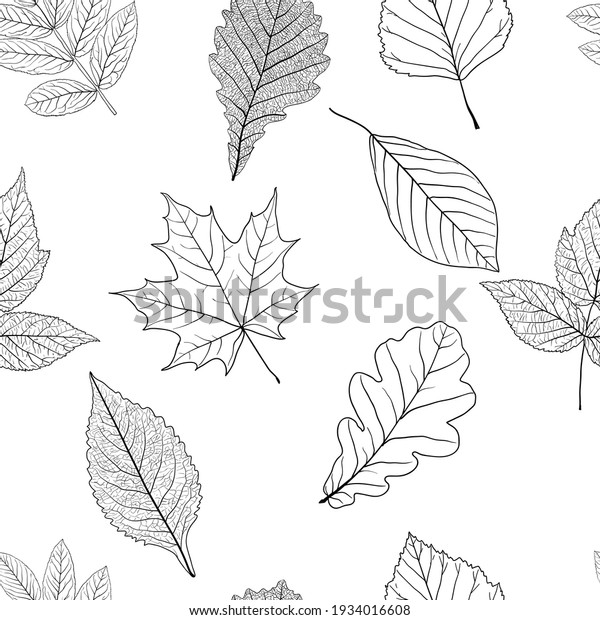 Seamless Background Sketch Leaves Background Stock Vector (Royalty Free ...