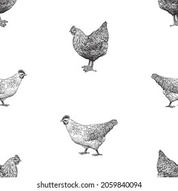Seamless background of sketches black and white farm hens