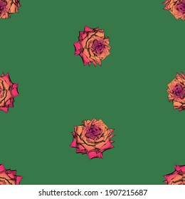 Seamless background of sketches delicate red roses