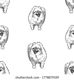 Seamless background of sketches  fluffy cute lap dog 