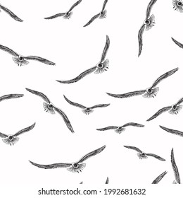 Seamless background of sketches flying seagulls