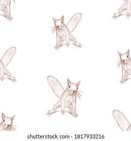 Seamless background of sketches funny forest squirrel