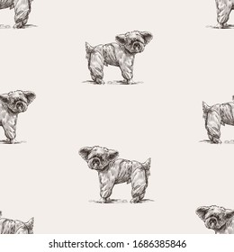 Seamless background of sketches funny lap dog in overalls