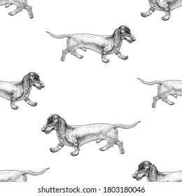 Seamless background of sketches of funny walking dachshunds