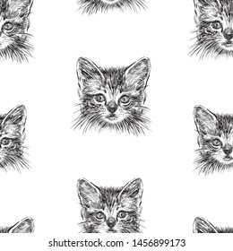 Seamless background of sketches of head of a small cat