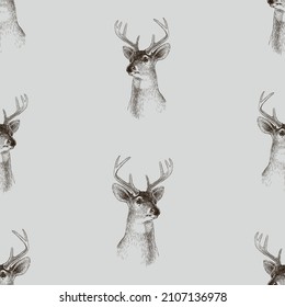 Seamless background of sketches head young wild deer