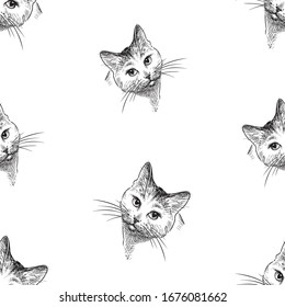 Seamless background of sketches heads domestic cat