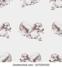 Seamless background of sketches longhair dachshund on a walk
